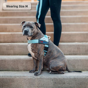 Tali anjing biru langit mudah dilepas/mati dapat diatur antilembap nyaman tanpa dada Harness anjing - Product Image 4