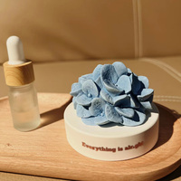Diffuseur parfumé en plâtre d'aromathérapie en pierre céramique