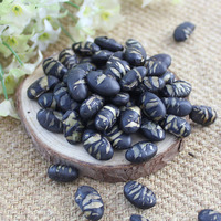 Haricots noirs grillés à sec et sains sans OGM Snack Soja salé croustillant avec saveur douce emballé en vrac ou en sac