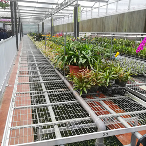 <span class=keywords><strong>Table</strong></span> de plantation de pépinière de <span class=keywords><strong>table</strong></span> roulante pliable en aluminium de structure métallique de <span class=keywords><strong>haute</strong></span> qualité <span class=keywords><strong>pour</strong></span> la serre - Product Image 2