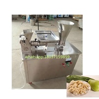 Rouleau de printemps de boulette Ravioli Wonton Mold Samosa Making Machine pour les États-Unis