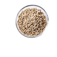 High Quality White Pepper Seasonings & Condiments Wholesale From Hainan China Dried Raw Processing Big Size