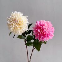 Bunga Dahlia Lateks Buatan Berkualitas Tinggi, Ukuran Besar, Sentuhan Realistis, Gradasi Burgundy, untuk Dekorasi Pernikahan, Thanksgiving, Rumah, dan Meja Pesta