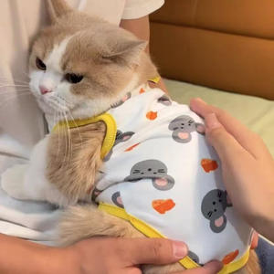 Magliette per <span class=keywords><strong>Cani</strong></span> e Gatti in Cotone OEM/ODM, Tinta Unita Estiva alla Moda, Lavabili in Lavatrice, per <span class=keywords><strong>Cani</strong></span> e Gatti <span class=keywords><strong>di</strong></span> Piccola Taglia - Product Image 3