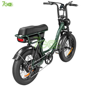 电动自行车 7 速宽胎后轮毂电机 48V 250W 20 英寸液压刹车 储物仓电动自行车 - Product Image 4