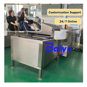 Máquina eléctrica para freír rosquillas <span class=keywords><strong>y</strong></span> patatas fritas Baiyu Precio de nueva condición de China - Product Image 2