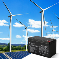 Baterai Lithium Ion Phosphate LiFePO4 12V 6Ah Kustom Neata