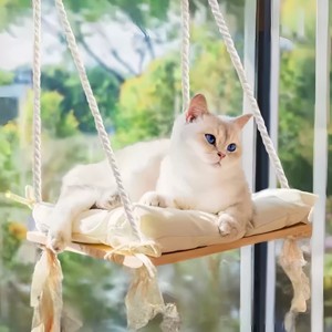 Vente directe usine : Hamac <span class=keywords><strong>en</strong></span> bois monocouche moderne et robuste avec coussin moelleux, habitat balançoire pour chat avec ventouse pour balcon - Product Image 4