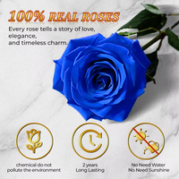 Kotak Berbentuk Hati Forever Blue Roses 16 Mawar Biru Awet Berkualitas Tinggi 100% Asli Hadiah Ulang Tahun untuk Ibu Istri Pacar