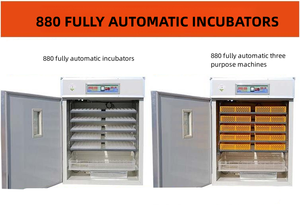 Incubateur 10000 Œufs Professionnel pour Éclosion – Machine Commerciale Avicole - Product Image 4