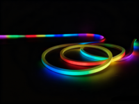 Bande LED intelligente RGB DMX à pixels adressables, en silicone pur, flexible, néon IP68, lumière de poursuite RGB, néon flexible pour bar/disco, bricolage, application/télécommande