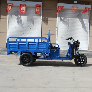 2024 nouveau 850W Cargo Trike électrique multifonction Sanbengzi 3 roues Tricycle électrique vélo pour adultes