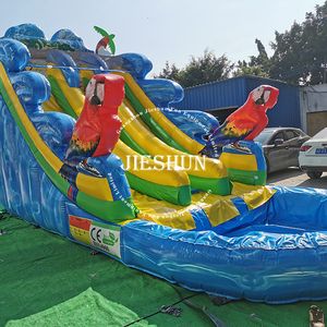 Groothandel Grote 15ft Tall Papegaai Slide Kids Dual Slide Opblaasbare Glijbaan Met Zwembad Te Koop - Product Image 5