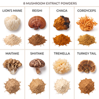 Gummies de Suppléments Ashwagandha et Crinière de Lion pour le Soutien Cognitif et Immunitaire, Vente en Gros Usine sous Marque Blanche