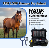 Appareil PEMF professionnel pour chevaux pour détendre les muscles raides, calmer l'humeur et améliorer la flexibilité des articulations