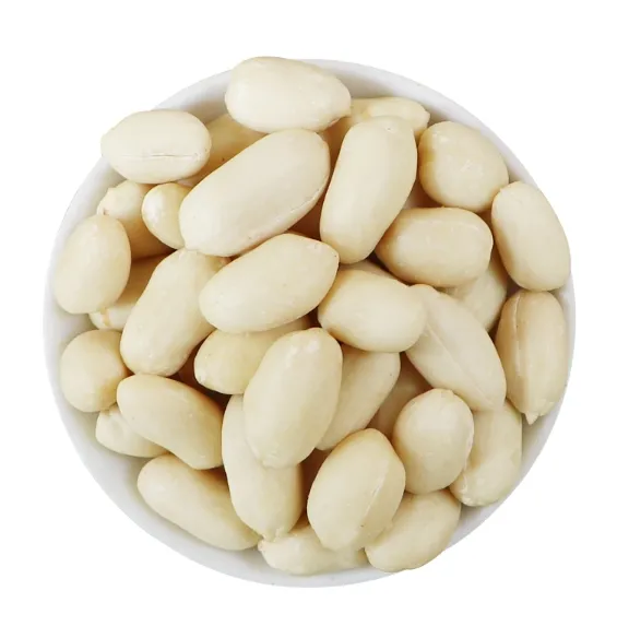 Pasokan pabrik biji-bijian kacang kosong Bold mentah kering ukuran 25/29