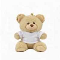 Porte-clés ours en peluche mini, jouet en peluche, ornement de sac, cadeau promotionnel, vente en gros, logo personnalisé, t-shirt, petite commande 10cm