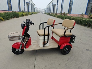 Triciclo Elettrico di Lusso Direttamente dalla Fabbrica, Bicicletta Elettrica <span class=keywords><strong>con</strong></span> Tettuccio, Triciclo Elettrico per Bambini - Product Image 2