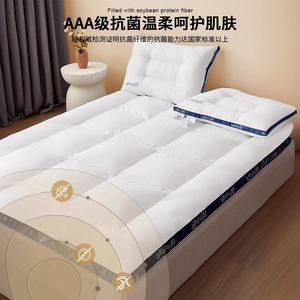 Starhotel Waterproof Antibacterial Mattress <b>Pad</b> 1.0m Quilted Polyester Home Hotel Use - Product Image 3