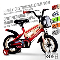 Vélo pour enfants, VTT pour enfants avec roues d'apprentissage, siège réglable, vélo pour garçons et filles, fournisseur en gros OEM ODM