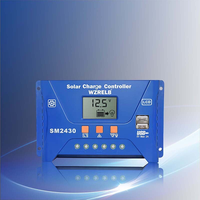 Controlador de Carga de Batería Solar PLC PWM con Pantalla LCD, 10A/20A/30A, 12V/24V, Regulador Automático, Suministro al por Mayor