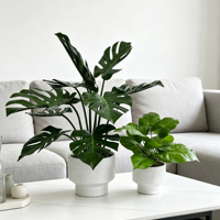 Ensemble de plantes artificielles réalistes de luxe Monstera et Alocasia en pot pour la décoration de table de salon moderne