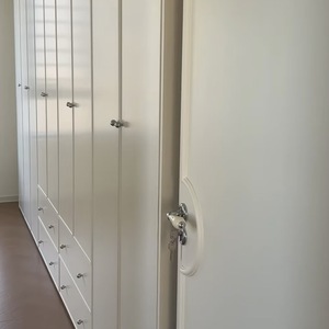 Armario RTA Moderno y Minimalista, Duradero, con Bordes Recubiertos, Fácil de Montar y Ahorra Espacio, Ideal para Apartamentos de Lujo - Product Image 3