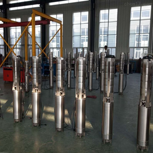 ปั๊มน้ำบาดาลสแตนเลส 5SP รุ่น 5SP/6SP แบบจุ่มใต้น้ำ - Product Image 4