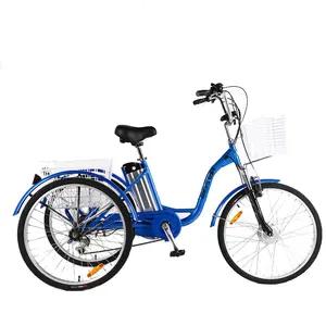 China Factory Direct Sale 1000 Watt 3 Wheel Electric Tricycle With Rear Motor Roof