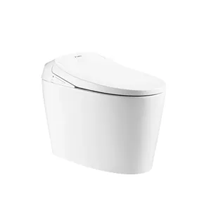 Kamar mandi peralatan sanitasi Dual Flush tersembunyi tangki Toilet untuk Toilet