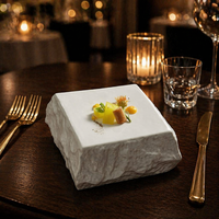Présentoir Carré en Céramique Texturée Effet Pierre Naturelle, Plateau Jetable en Porcelaine Blanc pour Fêtes, Gourmandises, Apéritifs et Desserts
