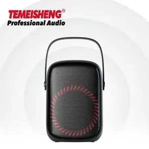 IP55 Waterproof Temeisheng Private 6.5 inch Indoor/Outdoor Portable Party box Speakers Wireless BT5.0 Karaoke speaker TWS