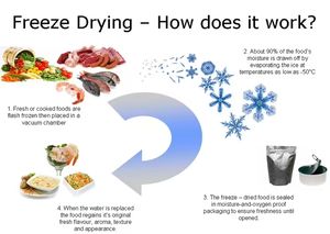 Máquina Automática de Secado por Congelación de Frutas y Verduras/Precio de la Máquina de Secado por Congelación/Máquina Industrial de Secado por Congelación - Product Image 5