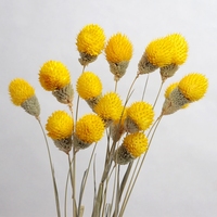 Fleur naturelle séchée, 1 ensemble de 15 pièces, arrangement de vase, pour remplissage de fruits, boule de fruits secs, similaire à des fraises, vente en gros