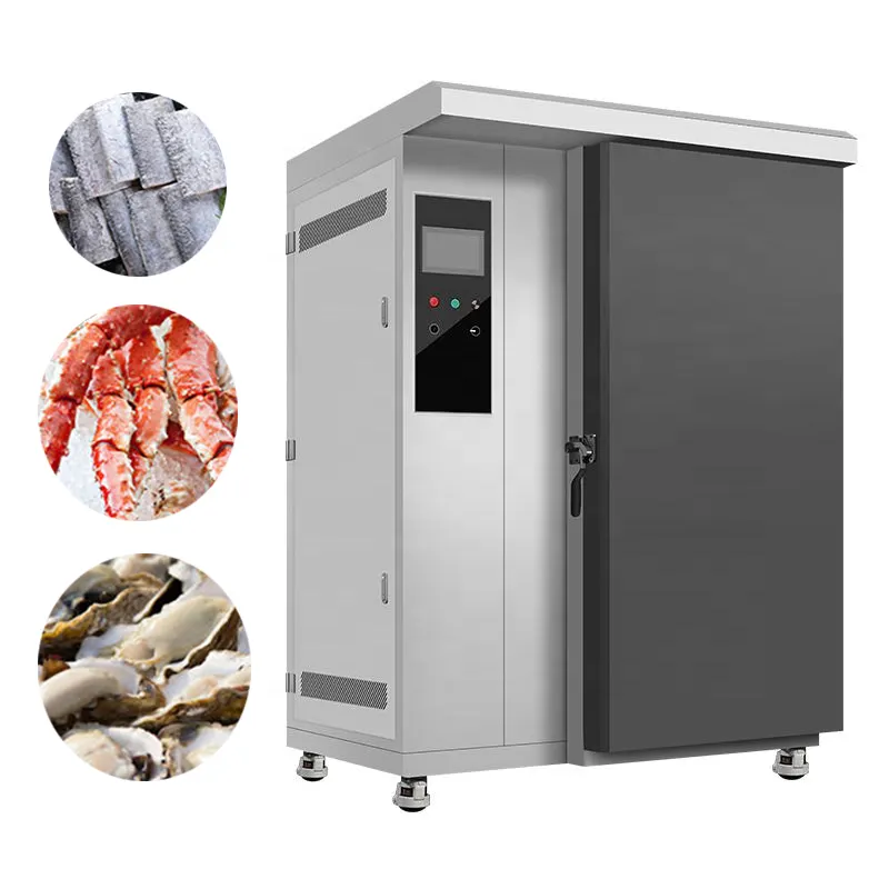 Fabrika fiyat sıvı azot dondurucu Iqf hızlı anlık şok dondurucu makinesi 5 Ton balık hızlı dondurma makinesi dondurucu