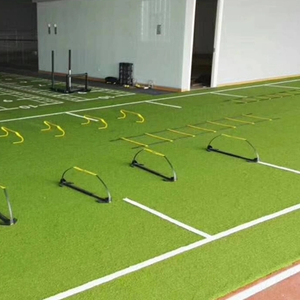 <span class=keywords><strong>Gazon</strong></span> <span class=keywords><strong>synthétique</strong></span> <span class=keywords><strong>de</strong></span> 20mm, <span class=keywords><strong>gazon</strong></span> artificiel <span class=keywords><strong>de</strong></span> <span class=keywords><strong>bonne</strong></span> <span class=keywords><strong>qualité</strong></span> pour le jardin, livraison gratuite - Product Image 6