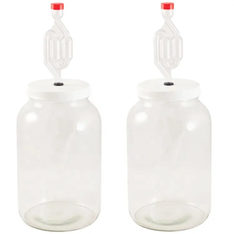 Glass Fermentation Mason Jar for Wine and Food Making Silicone BPA Free Valve Lid Quality Airlocks Kit