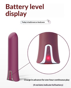 Vibrateur en silicone rechargeable à 10 vitesses, masseur vaginal et <span class=keywords><strong>collier</strong></span> sex-toy pour femmes - Product Image 2