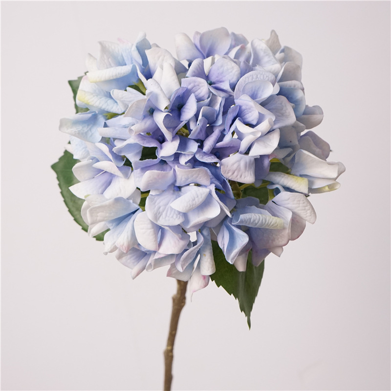 #4 สีฟ้าอ่อน