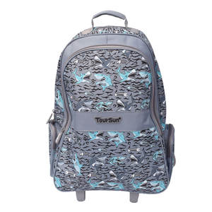 Fournitures scolaires en gros Mochila fille sac à dos enfants chariot sac d'école avec roues et poignée chariot sac à dos - Product Image 4