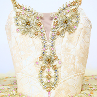 T0387 nouvel arrivage de Costumes de Ballet de Performance Tutu professionnel avec strass