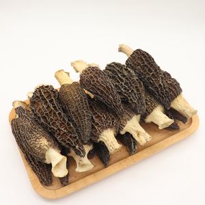 הנמכר ביותר מיובש מורל פטריות טרי טבעי גזע פראי מורל Morchella Conica פטריות - Product Image 4