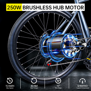 Bicicletas Eléctricas de 36V 10.5Ah 250W para Damas, Estilo Retro, OEM, Cuadro Grande de 700C, Bicicleta Eléctrica para Desplazamientos Urbanos, Precio al por Mayor - Product Image 4