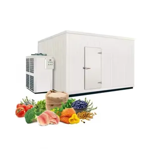 Hot Sale Customized Size Cold Storage Container Mini Cold Room for Fruit Vegetables Meat Fish Cold Storage