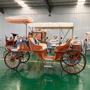 Special Transportation Electric Horse Carriage Multi-row Sightseeing Carriage Royal Wooden Carriage for Sightseeing - Product Image 4