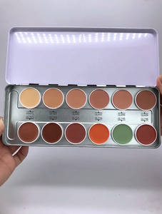 12 색 컨실러 Palete 개인 상표 부드러운 윤곽 분말 방수 얼굴 화장품 컨실러 - Product Image 2