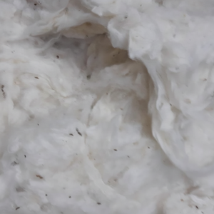 Mejor peine de algodón blanqueado para hilar Sra. Florence - Product Image 1