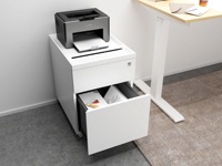 Armoire mobile multifonctionnelle en métal blanc résistant au feu et à l'humidité avec 2 tiroirs Rangement de bureau Classeur