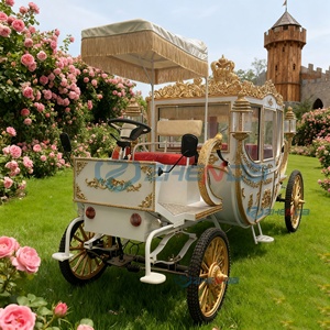 Carruaje Real Blanco para Bodas, Carruaje Eléctrico para Bodas, Carruaje Eléctrico de Ocio, Precio de Carroza Tirada por Caballos - Product Image 4