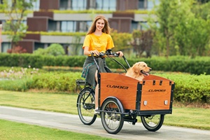 Vélo cargo électrique à 3 roues, moteur central 36V 250W, style Bakfiets familial, cadre en aluminium, <span class=keywords><strong>Nexus</strong></span> <span class=keywords><strong>8</strong></span> vitesses, freins à disque hydrauliques - Product Image 3